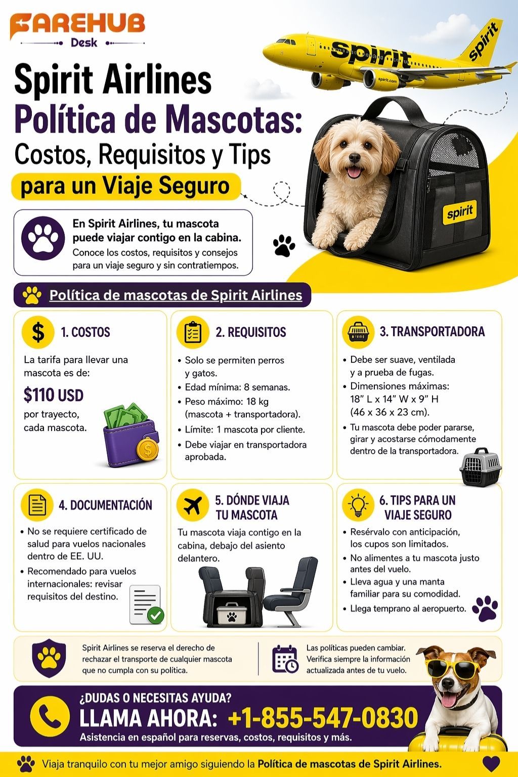 Política de mascotas de Spirit Airlines